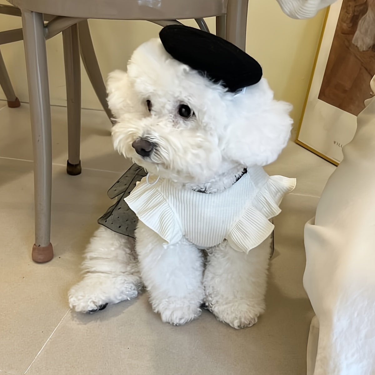 Spring Summer Fashion Large Bow Couple Outfits for Cats And Dogs Pet Clothing Small Breed 100% Polyester Knit Fabric Pullover