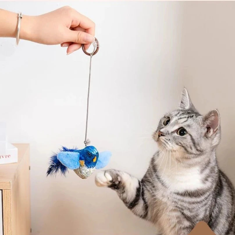Interactive Indoor Cat Toy Teaser Sounding Catnip-Filled Wall Hanging Bird Toy for Chasing And Teasing Keeps Cats Entertained