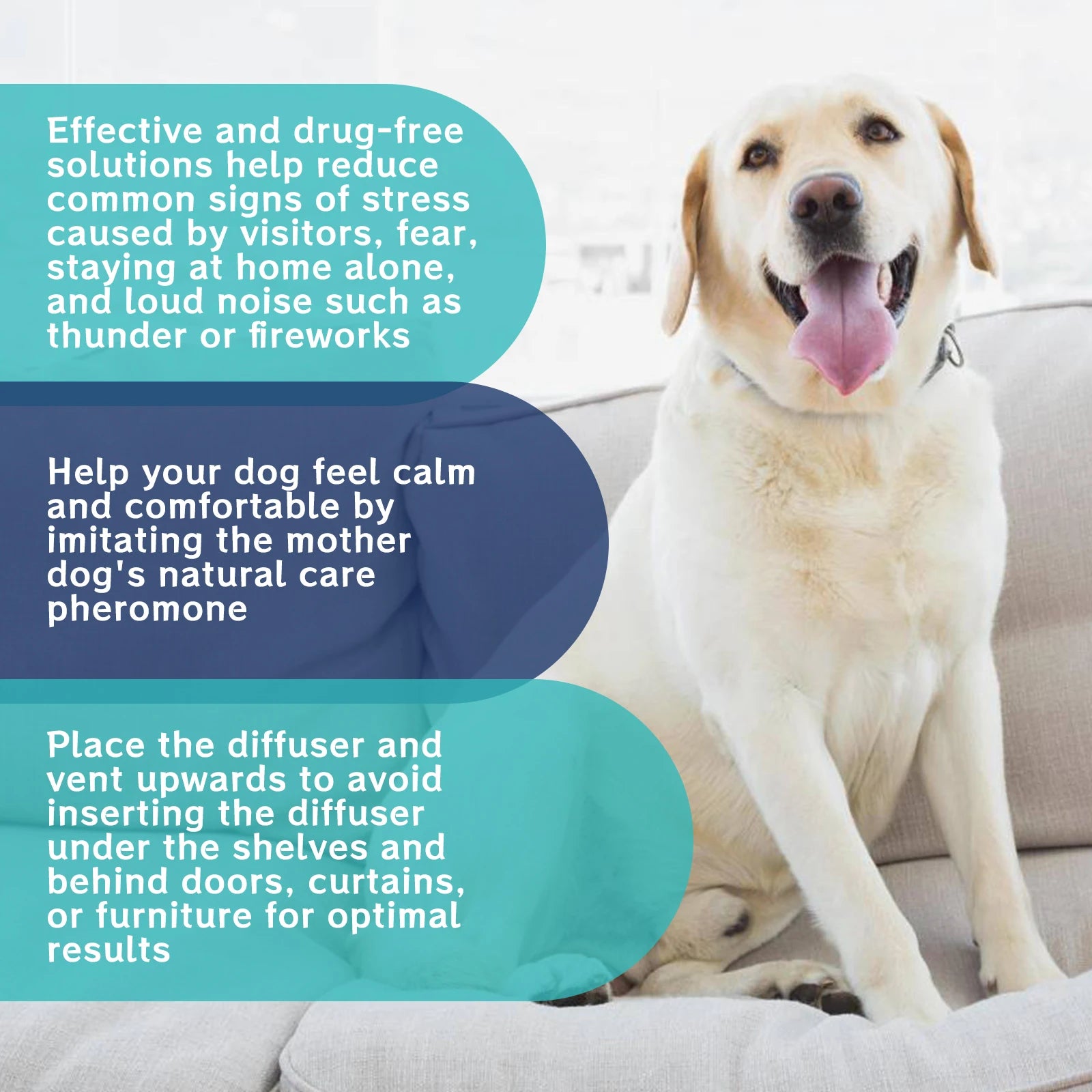 Pet Emotion Care Liquid Calming Soothing Anxiety Relief for Cats And Dogs Stain Odor Remover