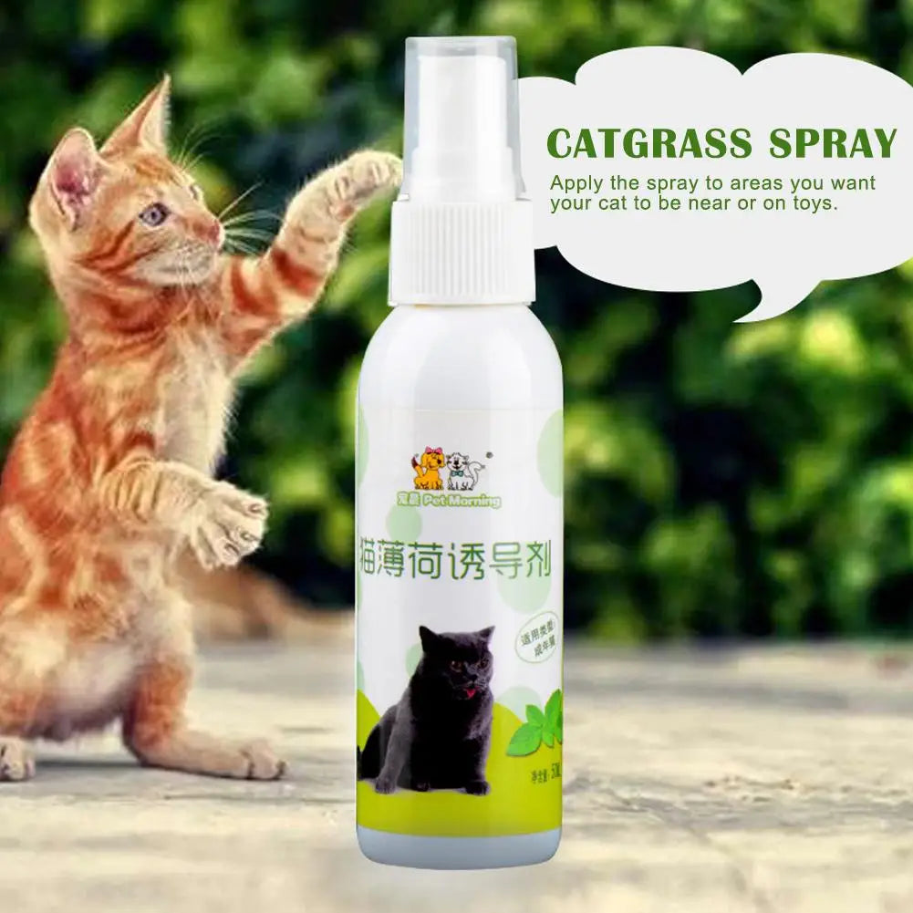 20/50ml Catnip Spray for Kittens And Cats Healthy Ingredients Attractant Easy to Use Safe Pet Toy Plastic Material from Guangdong