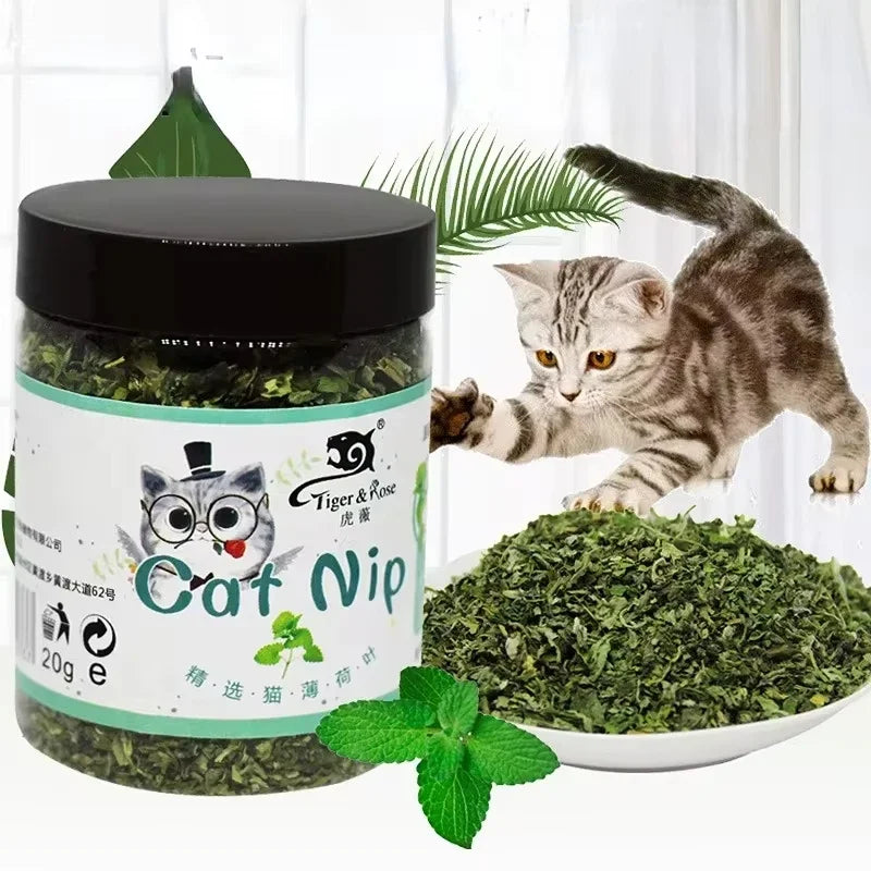 Interactive Catnip Toy 100% Natural Organic High-Quality Cattle Grass Mint Taste Funny Cat Toy for Entertainment Pet Supplies