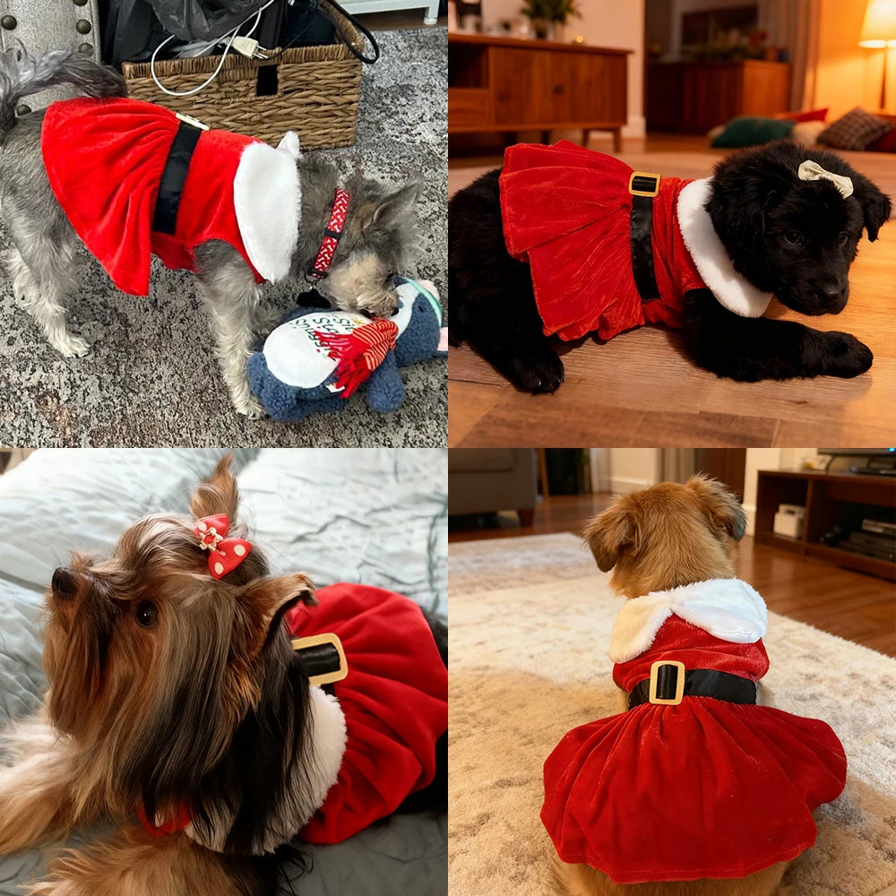 Red Princess Skirt Pet Dress for Small Dogs Cats Cute Christmas Festival Party Costume Yorkshire French Bulldog Winter Clothes