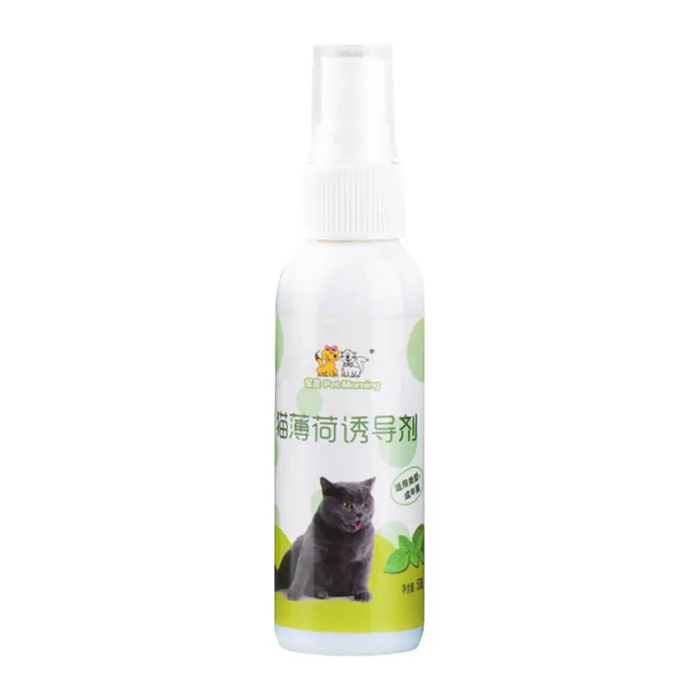 20/50ml Catnip Spray for Kittens And Cats Healthy Ingredients Attractant Easy to Use Safe Pet Toy Plastic Material from Guangdong
