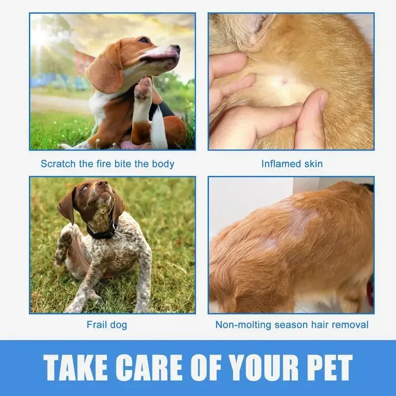 30ml Anti-Itch Skin Care Spray for Dogs And Cats - Healthy Skin Relief Treatment for Itchy Sensitive Skin Pet Care Product