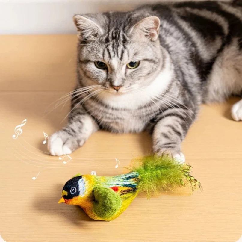 Interactive Indoor Cat Toy Teaser Sounding Catnip-Filled Wall Hanging Bird Toy for Chasing And Teasing Keeps Cats Entertained