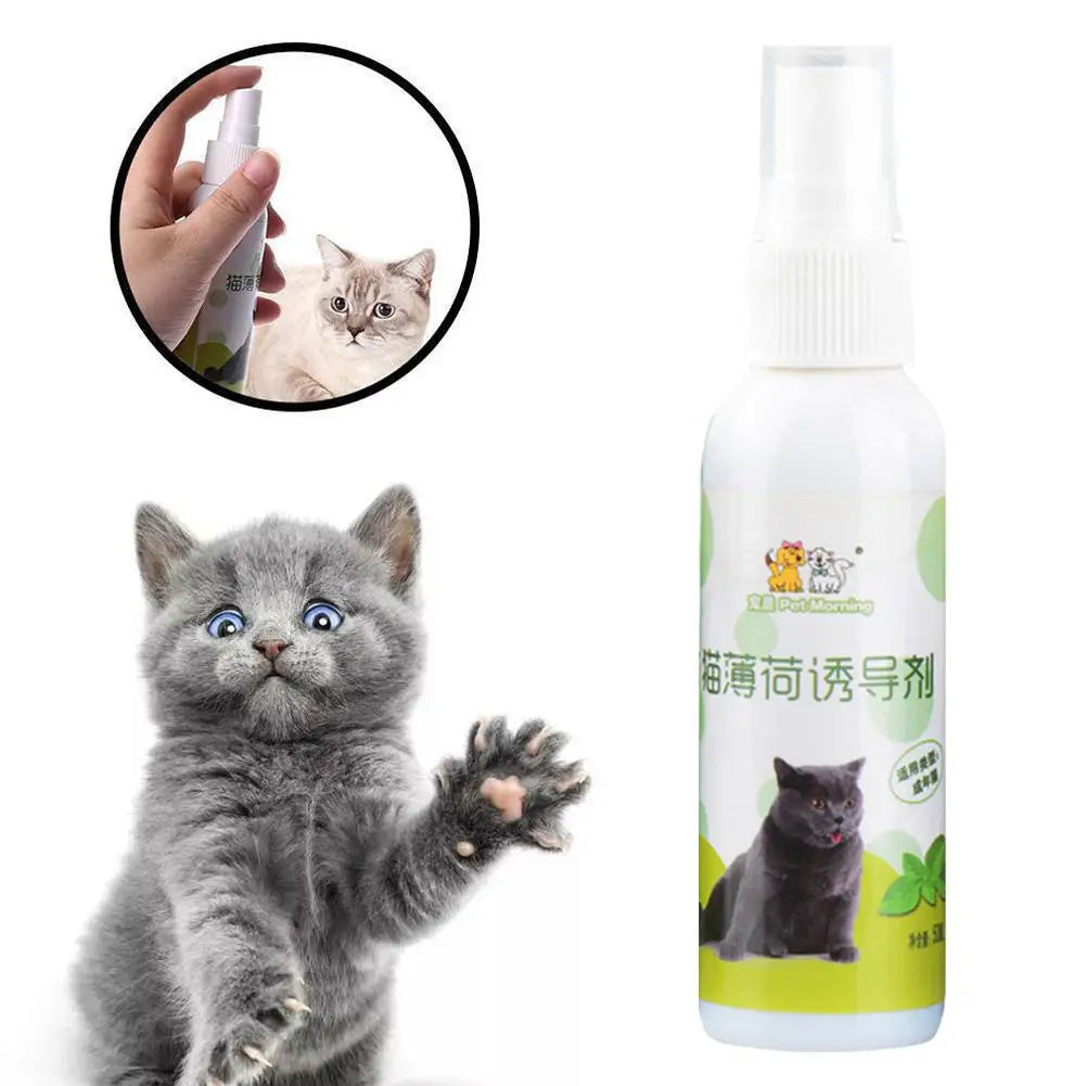 20/50ml Catnip Spray for Kittens And Cats Healthy Ingredients Attractant Easy to Use Safe Pet Toy Plastic Material from Guangdong