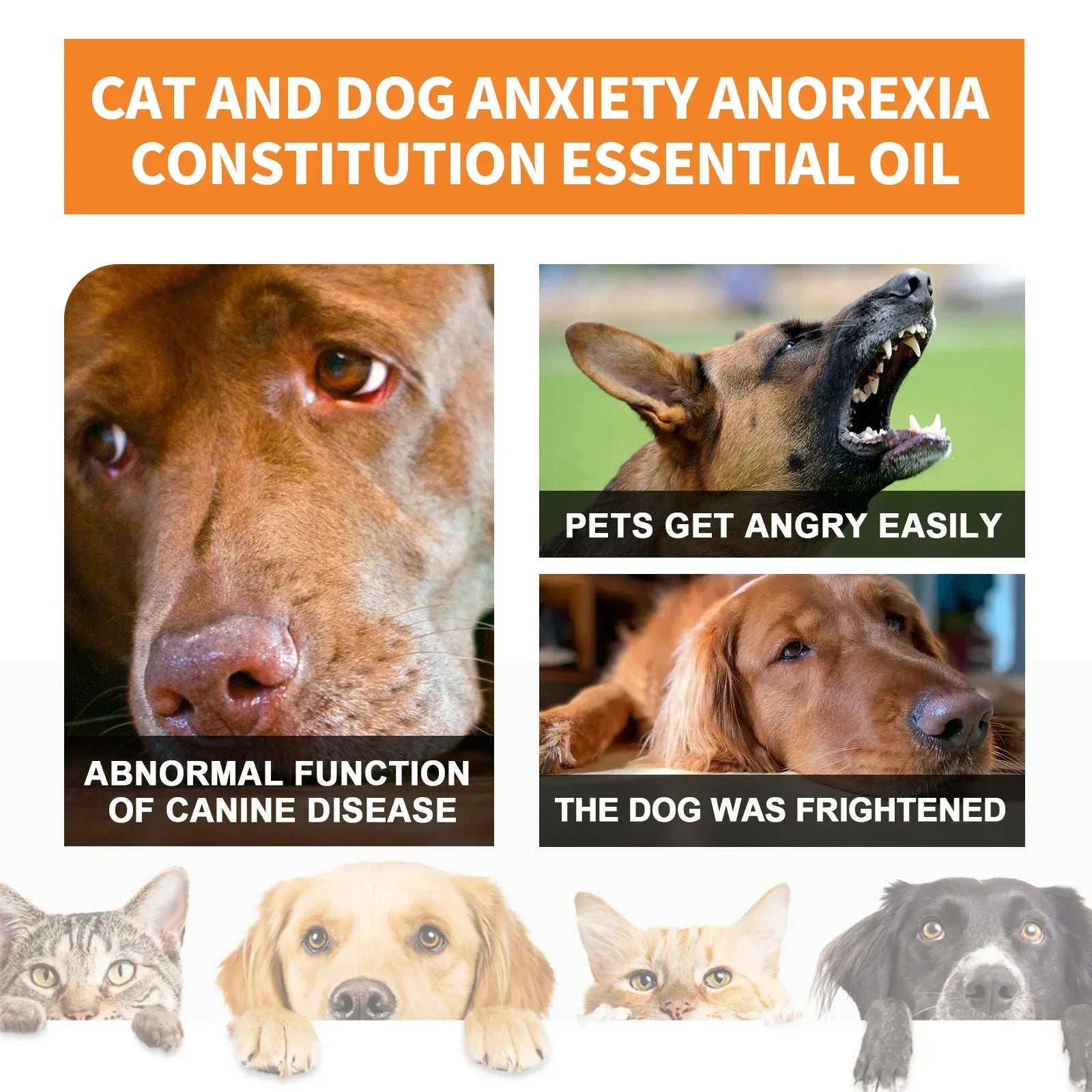 Natural Organic Calming Drops for Pets Anxiety Relief Essential Oil Blend for Dogs And Cats Skin Health Support