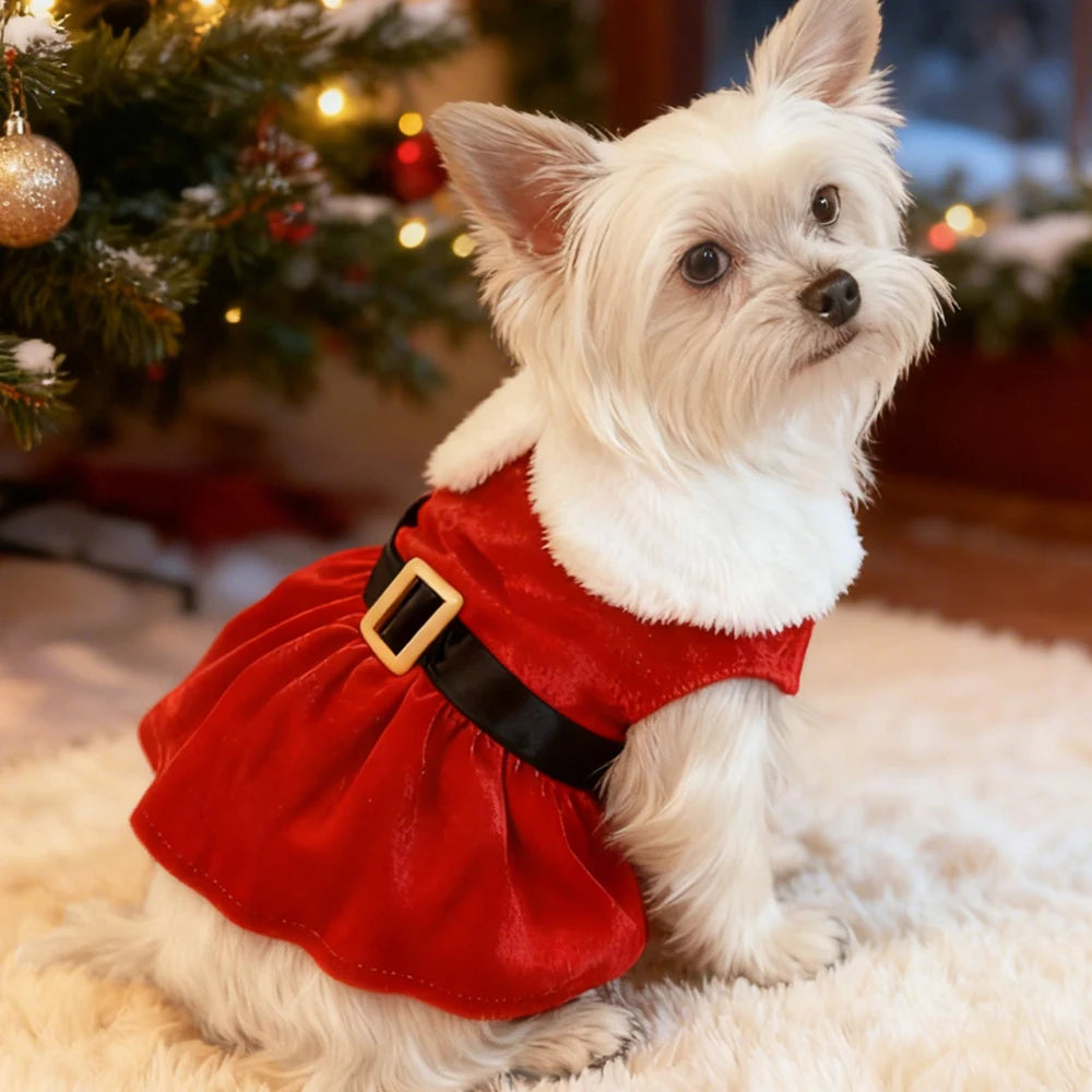 Red Princess Skirt Pet Dress for Small Dogs Cats Cute Christmas Festival Party Costume Yorkshire French Bulldog Winter Clothes