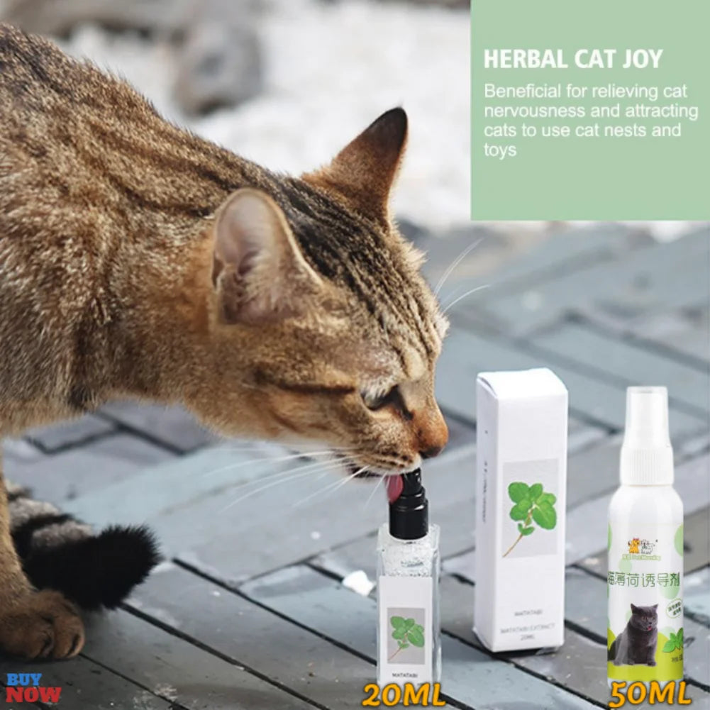20/50ml Catnip Spray for Kittens And Cats Healthy Ingredients Attractant Easy to Use Safe Pet Toy Plastic Material from Guangdong