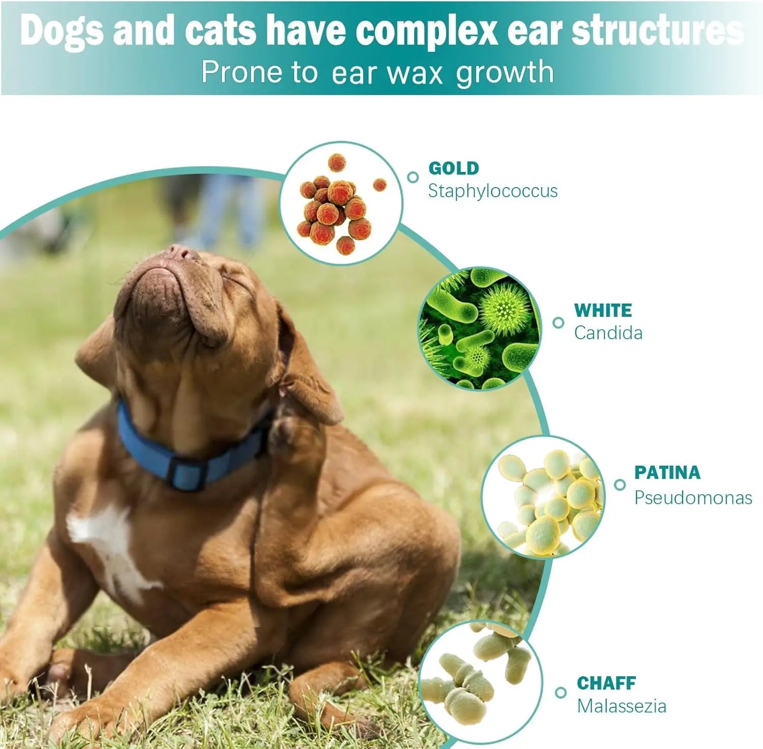 Pet Ear Wipes Soft Easy Otic Cleaning Pads for Cats And Dogs Regular Soothing Ear Cleaner Finger Wipes Pet Supplies