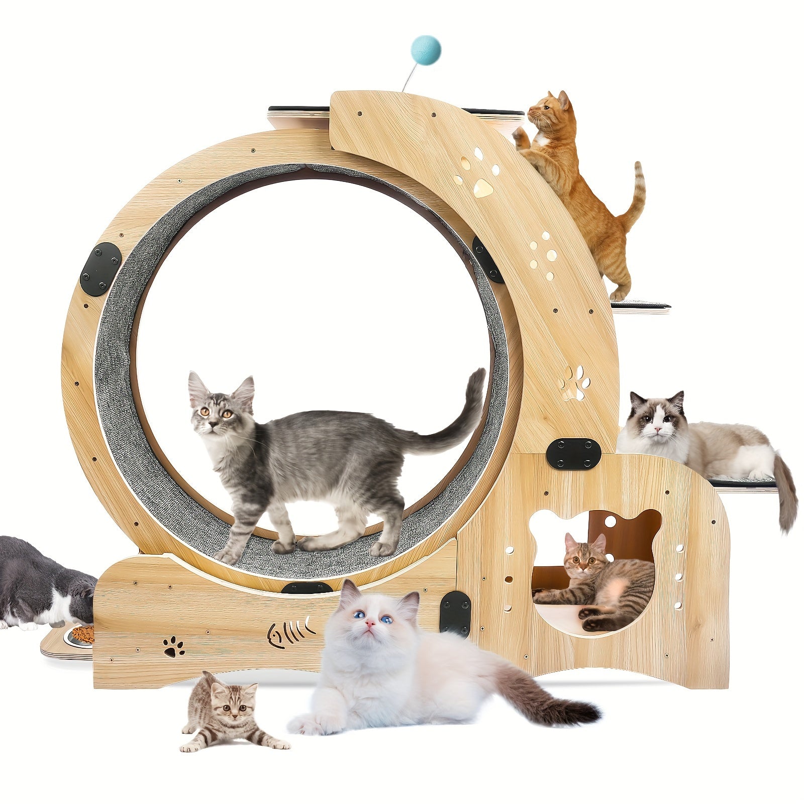 4 in 1 Cat Exercise Wheel 78.3cm Diameter Sturdy Noiseless Treadmill with Locking Mechanism Carpeted Runway Weight Loss Pet Sports Equipment